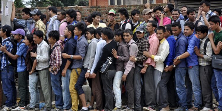 कोरियन भाषा परीक्षामा चार हजार परीक्षार्थी उत्तीर्ण