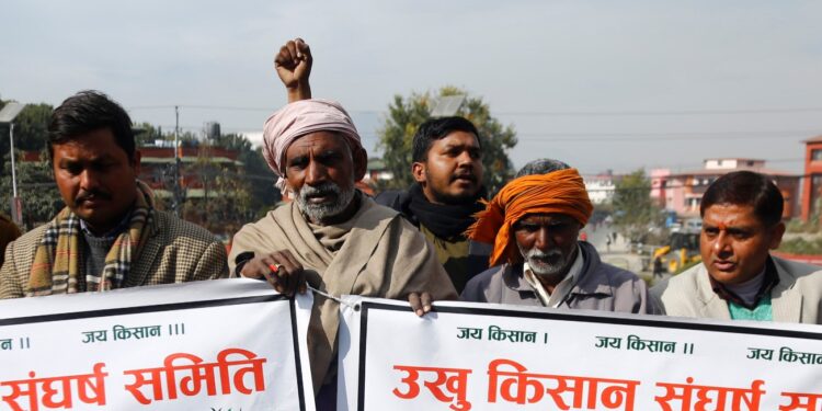 आकर्षक मूल्यमा बिक्री हुँदै अगौटे सुन्तला