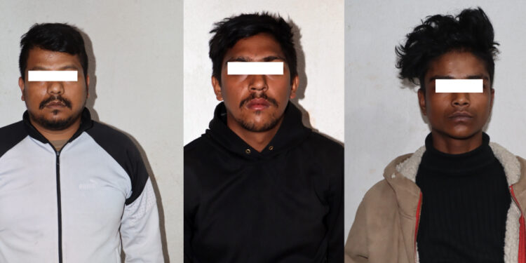चोरी गर्ने गिरोहमा संलग्न दुई भारतीयसहित तीन जना पक्राउ