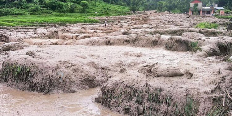 बाढी पहिरोबाट २५ दिनमा ४५ जनाको मृत्यु, ४६ वटा भौतिक संरचना भत्कँदा ८ करोड बढीको क्षति
