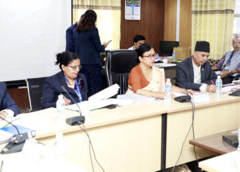 प्रस्तावित १७ राजदूत विरुद्ध नौओटा उजुरी