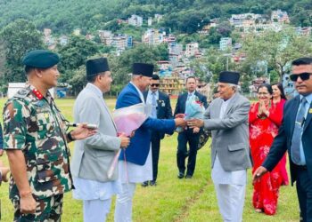राष्ट्रपति पाैडल पाल्पामा,रथ जात्राको अवलोकन गर्दै