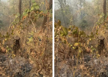 मकवानपुर भीमफेदीमा भिरबाट लडेर एक पुरुषको मृत्यु