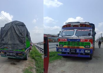 ५४ लाख बराबरको अवैध सामानसहितको ट्रक पथलैया बुझाइयो