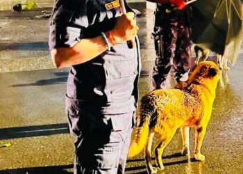 अबिरल वर्षाबीच एआइजी कार्कि फिल्डमा, सुरक्षामा उच्च सतर्कता